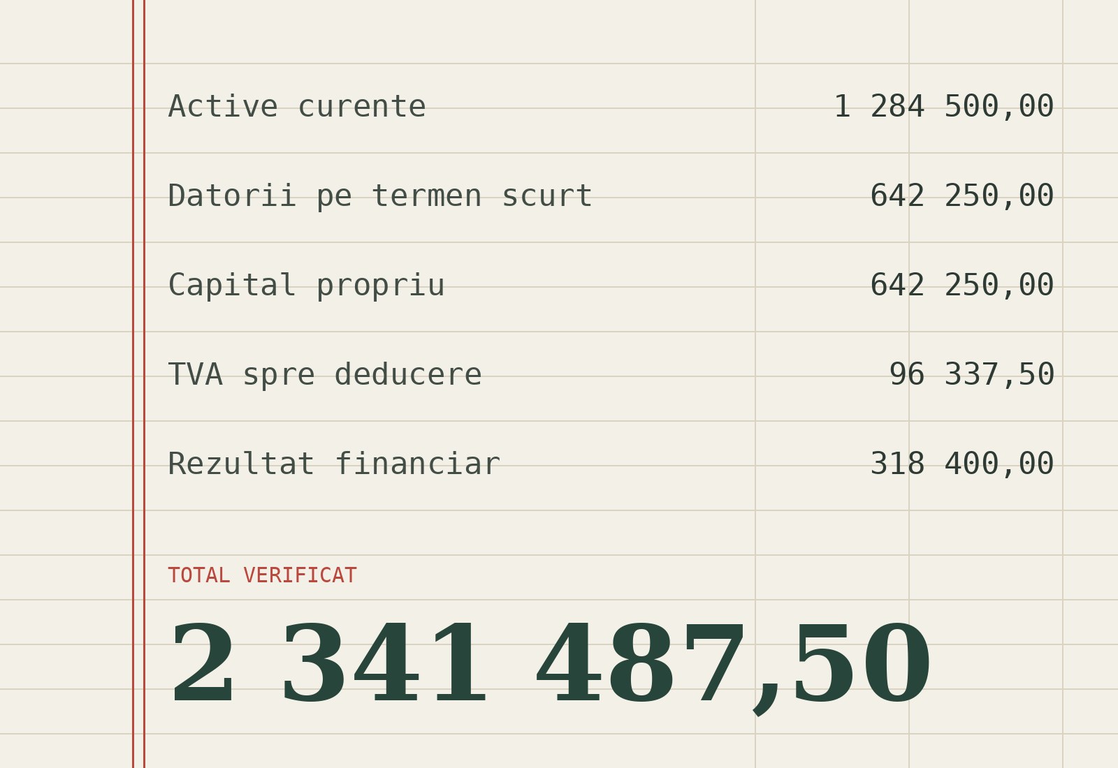 Registru contabil cu balanța verificată